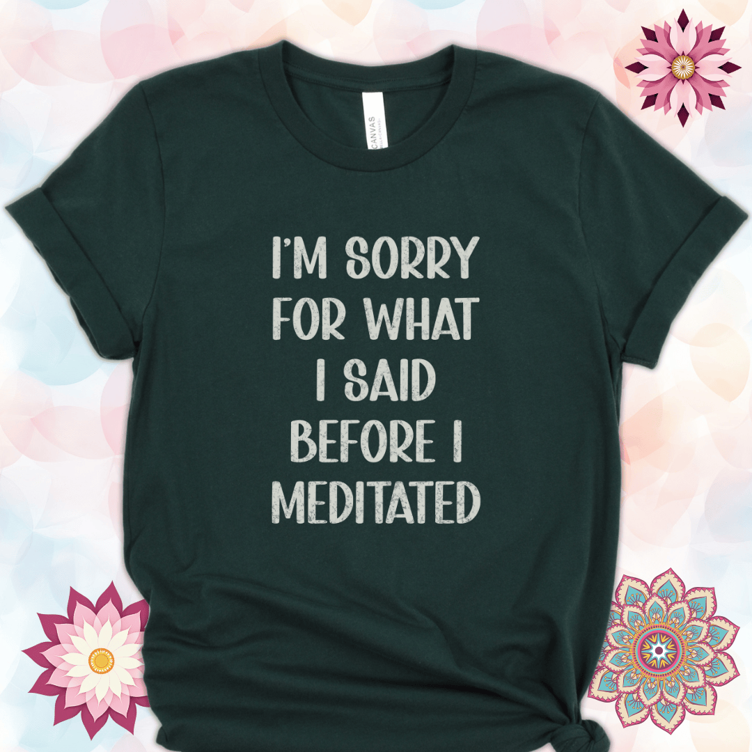 I'm Sorry for What I Said Before I Meditated